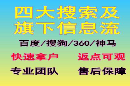SEM代理实战：成功案例分享与经验总结